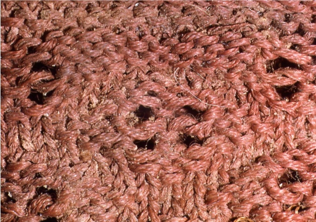 ETPic10_-_Small.jpg